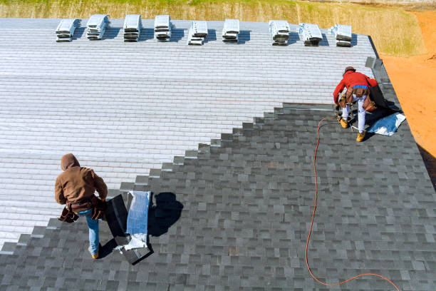 Best Roof Gutter Cleaning  in Iowa City, IA