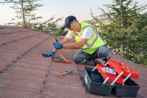 Best Flat Roof Repair Services  in Iowa City, IA
